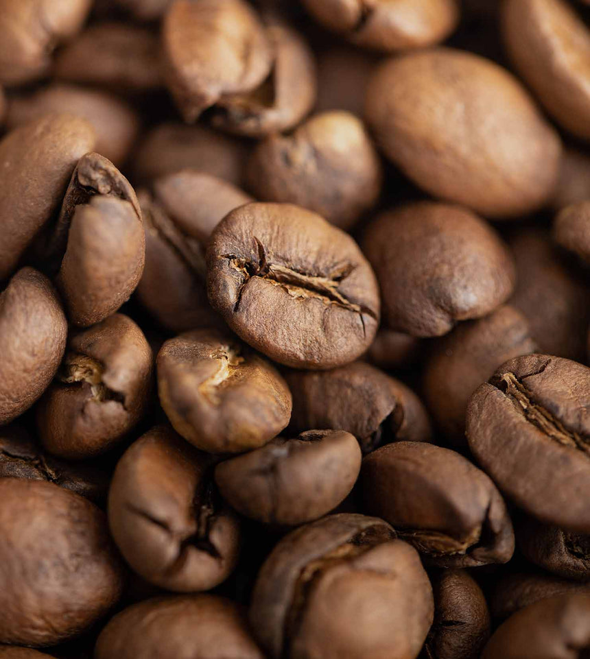 Single-Origin Subscription